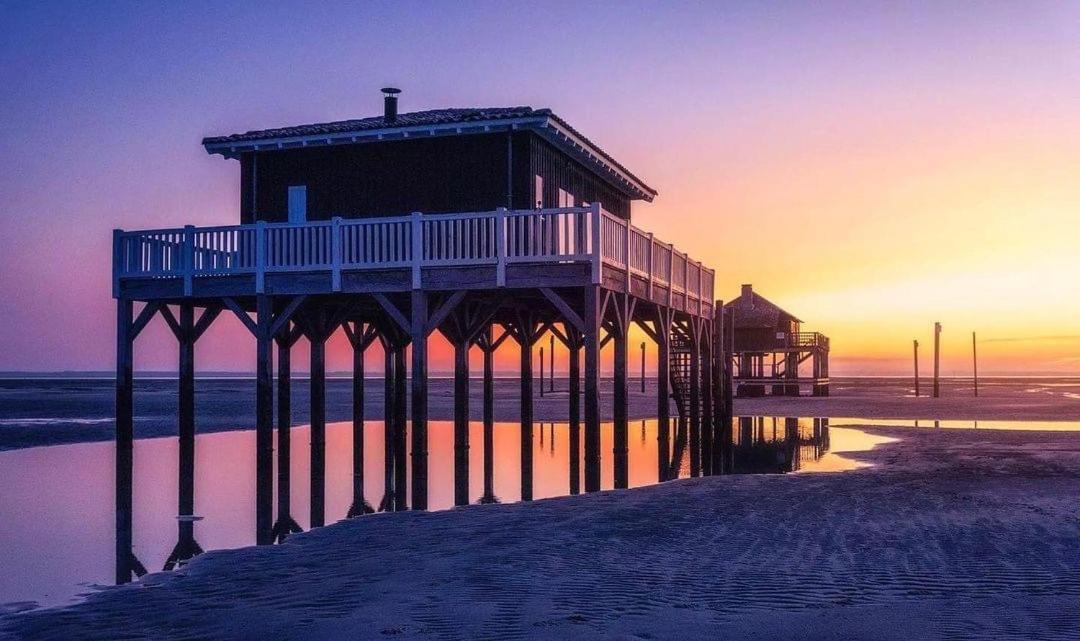 Cocon Entre Presqu'Ile Du Cap Ferret Et Plages Oceanes - Terrasse - 1 Velo Gratuit Ares Ngoại thất bức ảnh