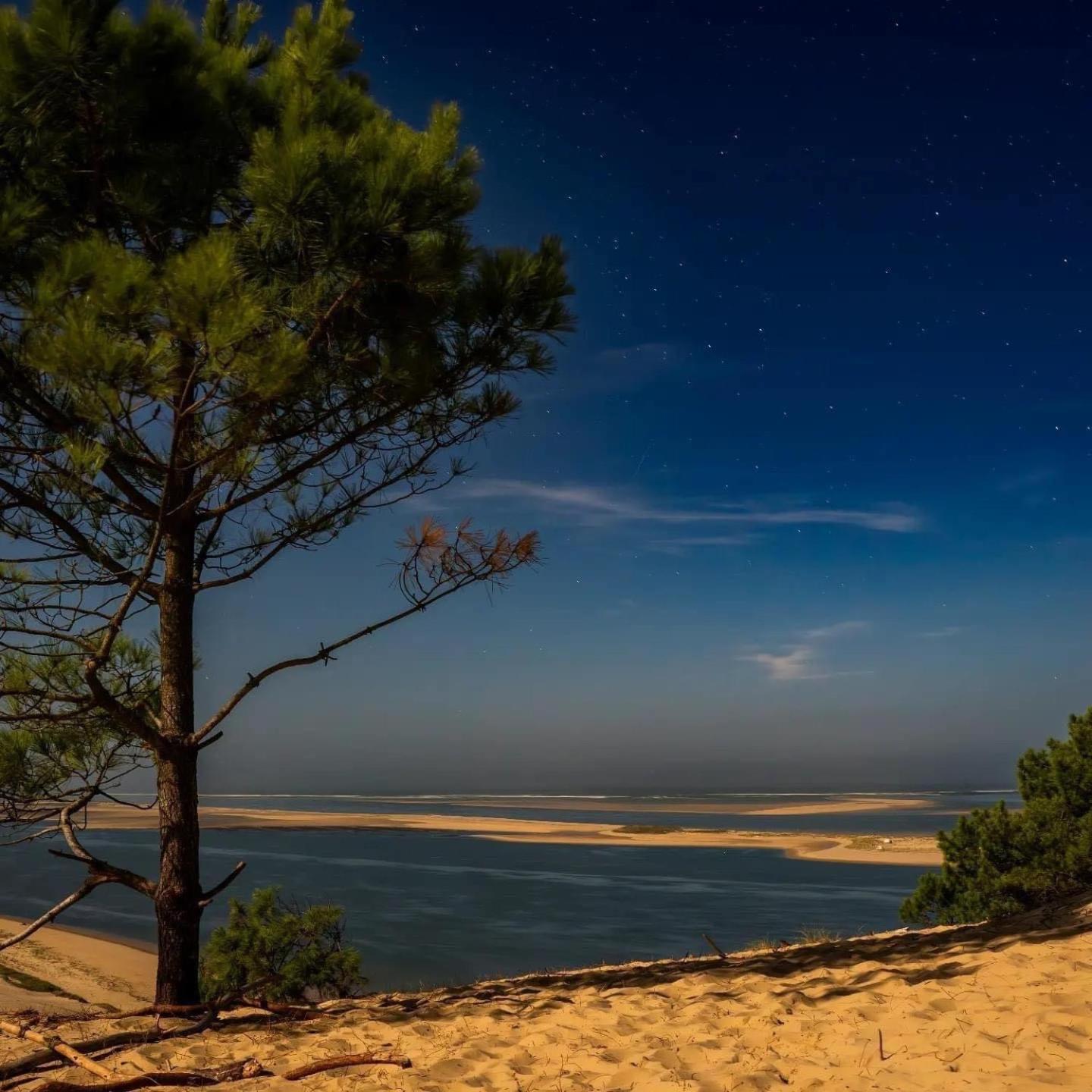 Cocon Entre Presqu'Ile Du Cap Ferret Et Plages Oceanes - Terrasse - 1 Velo Gratuit Ares Ngoại thất bức ảnh