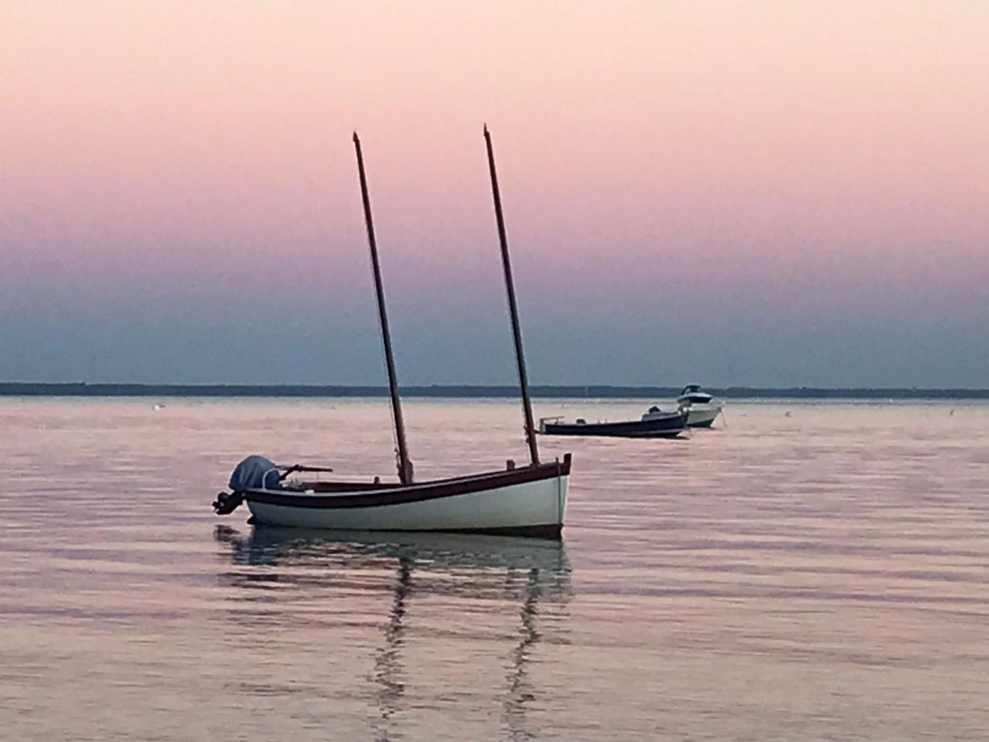 Cocon Entre Presqu'Ile Du Cap Ferret Et Plages Oceanes - Terrasse - 1 Velo Gratuit Ares Ngoại thất bức ảnh