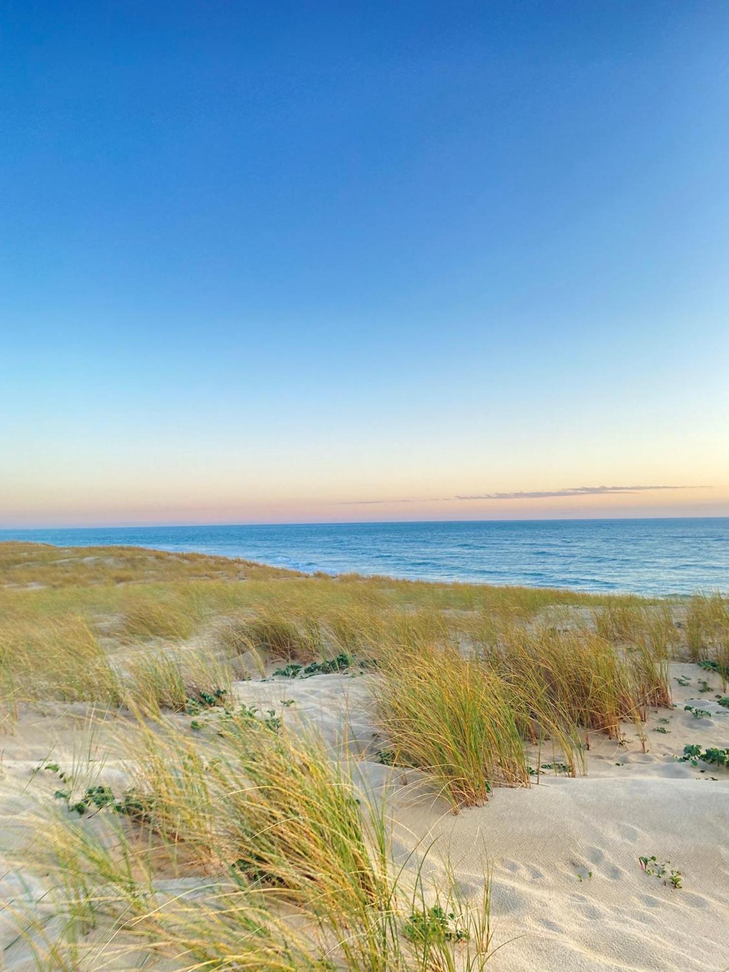 Cocon Entre Presqu'Ile Du Cap Ferret Et Plages Oceanes - Terrasse - 1 Velo Gratuit Ares Ngoại thất bức ảnh