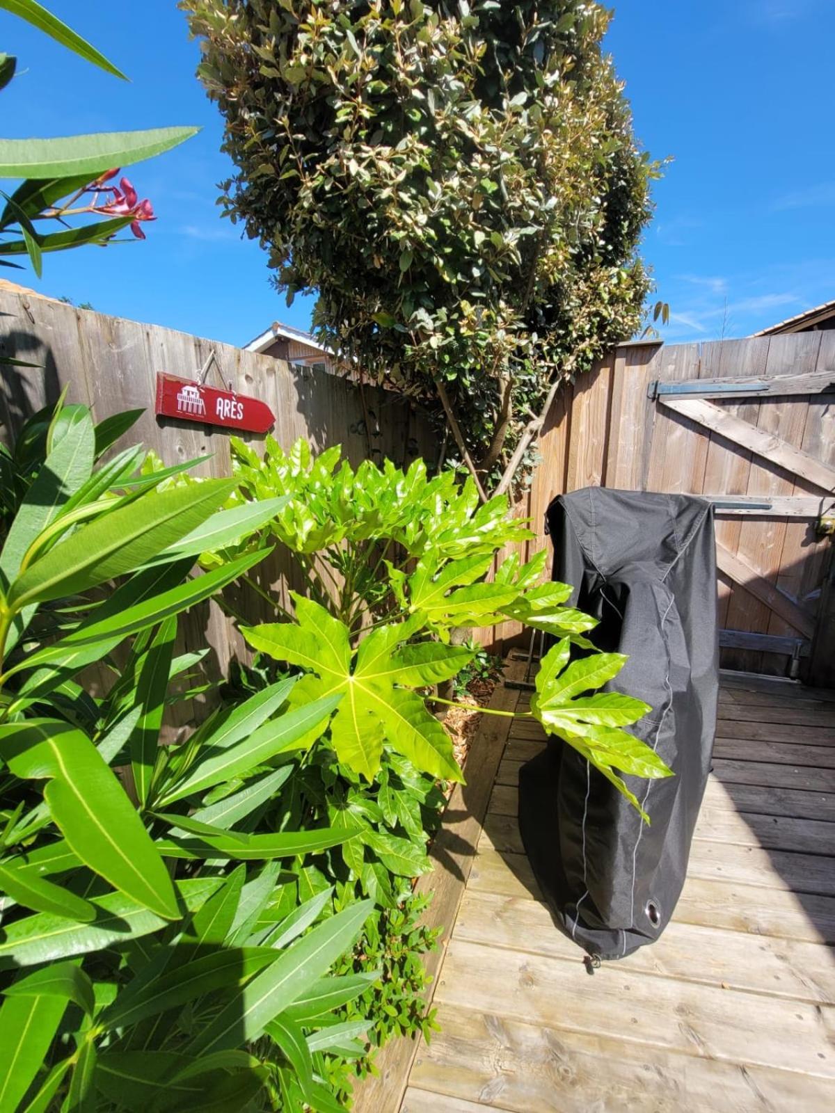 Cocon Entre Presqu'Ile Du Cap Ferret Et Plages Oceanes - Terrasse - 1 Velo Gratuit Ares Ngoại thất bức ảnh